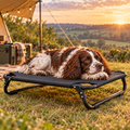 AI illustration: Bertie, our liver-and-white spaniel, with the Folding Raised Dog Camp Bed.