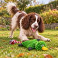 AI illustration: Bertie, our liver-and-white spaniel, with the Green Chenille Duck Dog Toy with Rope Tail.