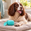 AI illustration: Bertie, our liver-and-white spaniel, with the Silicone Pet Bath Brush & Shampoo Dispenser.