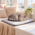 AI illustration: Mabel, our silver tabby cat, with the Self-Warming Pet Mat.