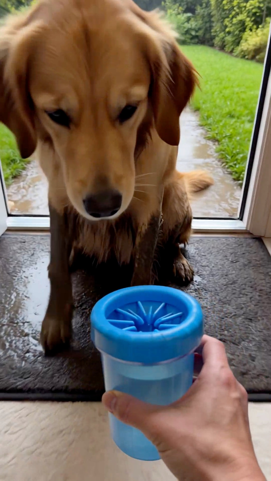 Muddy Paw Cleaner Cup